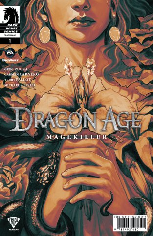 Dragon Age: Magekiller 001 (Fried Pie variant) (December 2015)