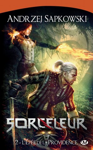 The Witcher: Sword Of Destiny (French 2011 edition)