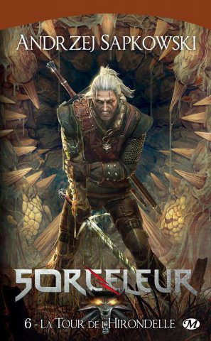 The Witcher: The Tower Of The Swallow (French 2012 edition)