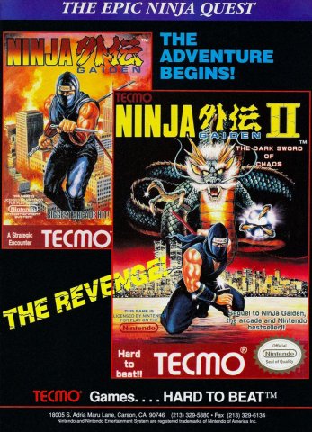 Ninja Gaiden and Ninja Gaiden II