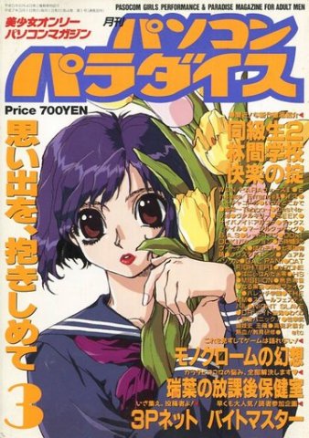 Pasocom Paradise Vol.034 (March 1995)