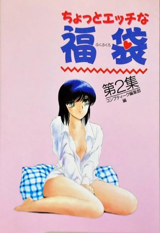 Chotto Ettchi-na Fukubukuro 2 (December 1987)