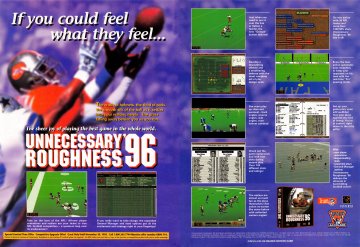 Unnecessary Roughness '96