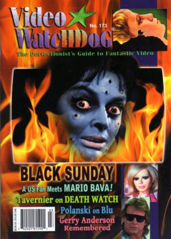 Video Watchdog Issue 173