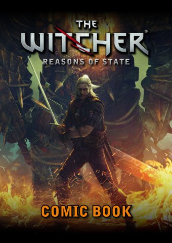 The Witcher: Reasons of State (2011)