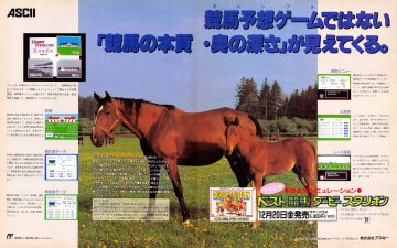 Best Keiba: Derby Stallion (Japan) (December 1991)