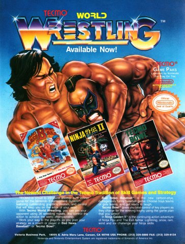 Tecmo World Wrestling (August 1990)